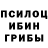 Галлюциногенные грибы GOLDEN TEACHER GoFindYourself GFY