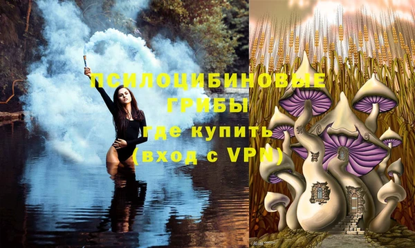 герыч Балахна